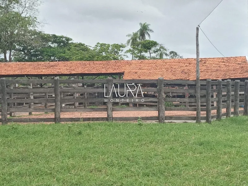Oportunidade para Pecuária a 90 km de Bonito: 1ª foto da galeria de imagens do imóvel