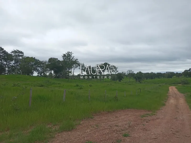 Oportunidade para Pecuária a 90 km de Bonito: 44ª foto da galeria de imagens do imóvel