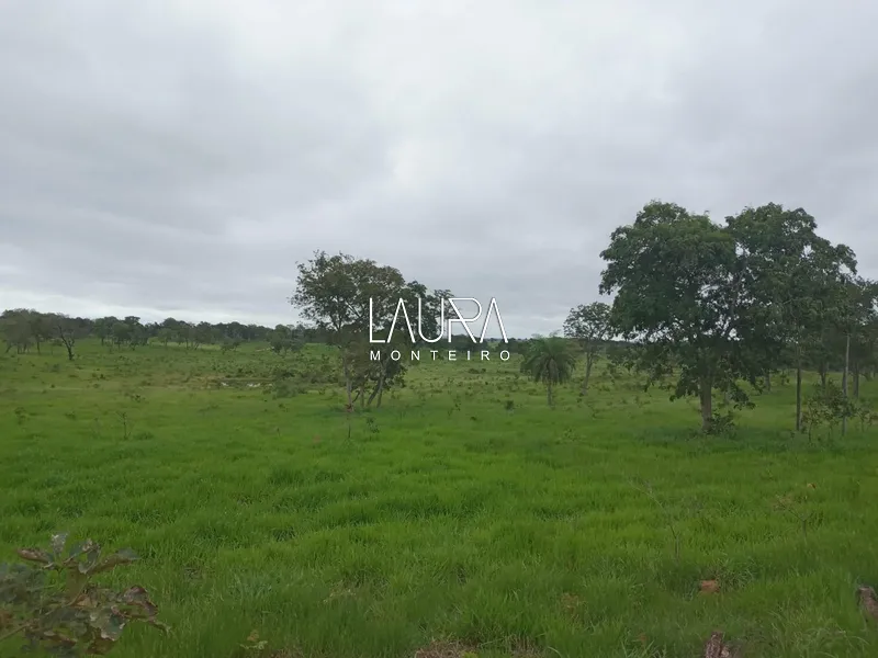 Oportunidade para Pecuária a 90 km de Bonito: 46ª foto da galeria de imagens do imóvel