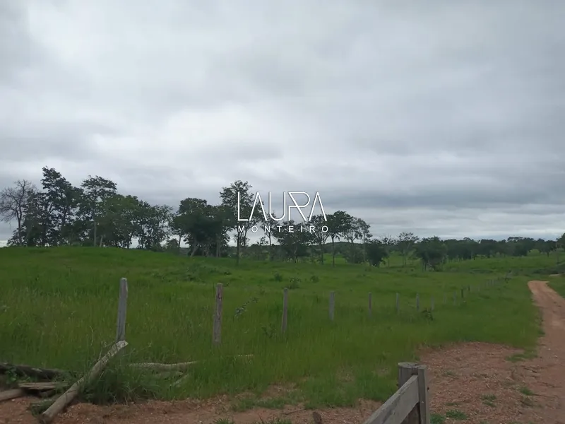 Oportunidade para Pecuária a 90 km de Bonito: 50ª foto da galeria de imagens do imóvel