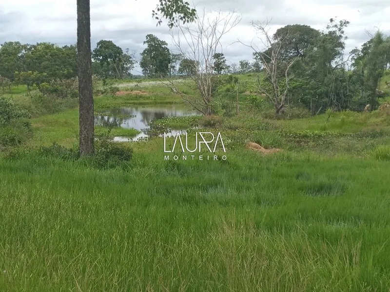 Oportunidade para Pecuária a 90 km de Bonito: 28ª foto da galeria de imagens do imóvel
