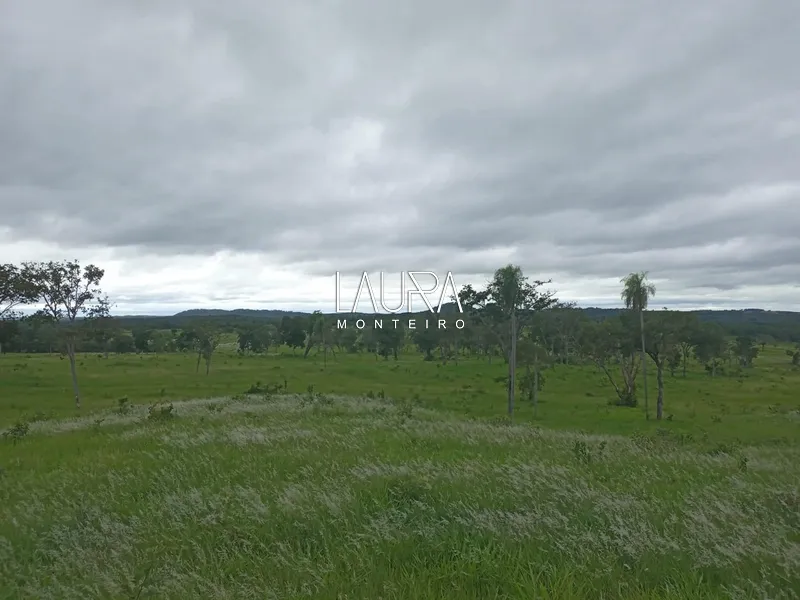 Oportunidade para Pecuária a 90 km de Bonito: 67ª foto da galeria de imagens do imóvel