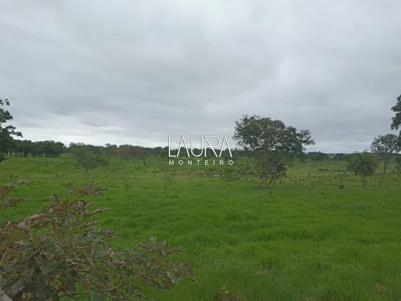 Oportunidade para Pecuária a 90 km de Bonito: 47ª foto da galeria de imagens do imóvel