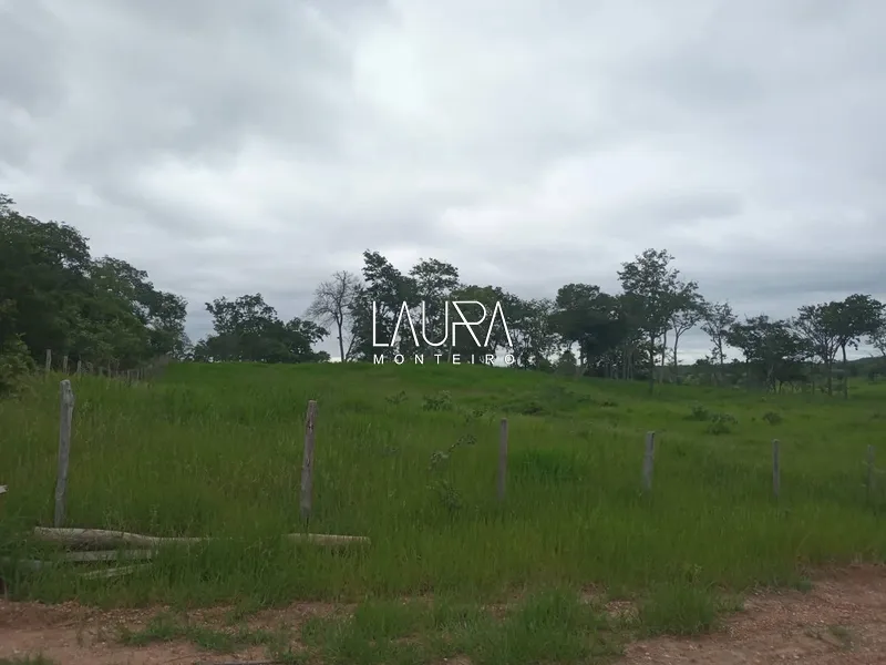 Oportunidade para Pecuária a 90 km de Bonito: 42ª foto da galeria de imagens do imóvel