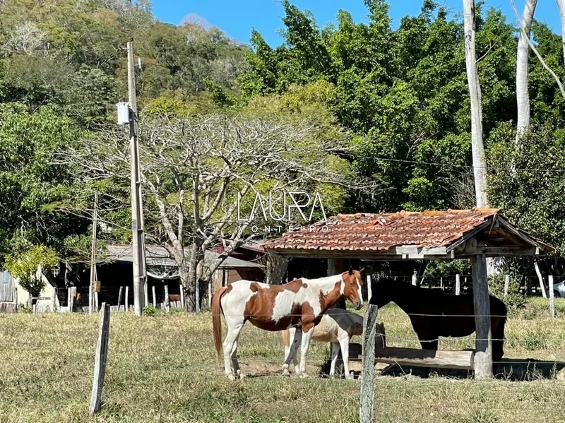 A beleza do Rio Mimoso em #bonitoms: 8ª foto da galeria de imagens do imóvel