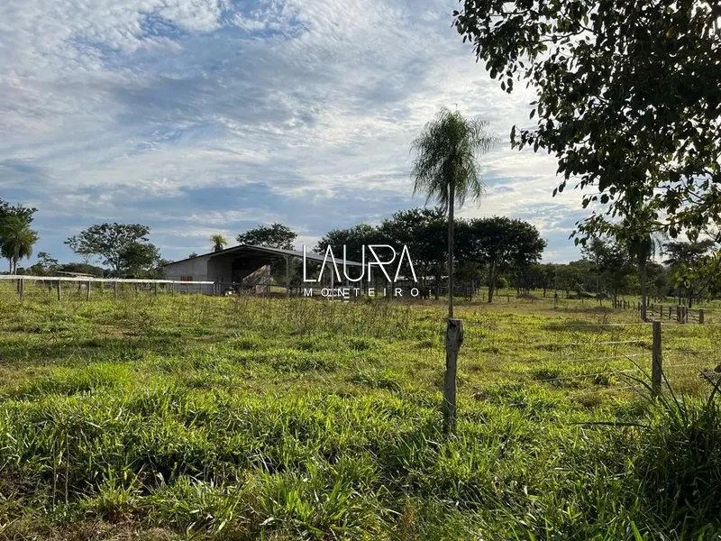 115 Hectares pronta para trabalhar: 3ª foto da galeria de imagens do imóvel