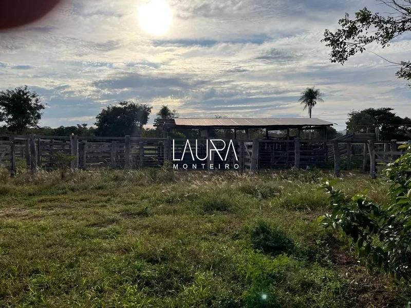 115 Hectares pronta para trabalhar: 7ª foto da galeria de imagens do imóvel