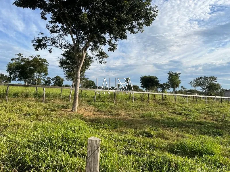 115 Hectares pronta para trabalhar: 12ª foto da galeria de imagens do imóvel