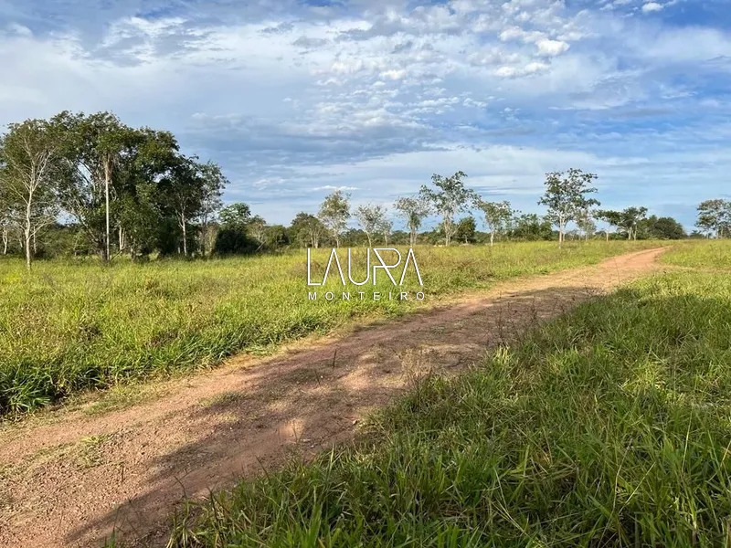 115 Hectares pronta para trabalhar: 9ª foto da galeria de imagens do imóvel