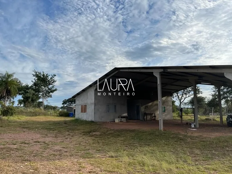 115 Hectares pronta para trabalhar: 10ª foto da galeria de imagens do imóvel