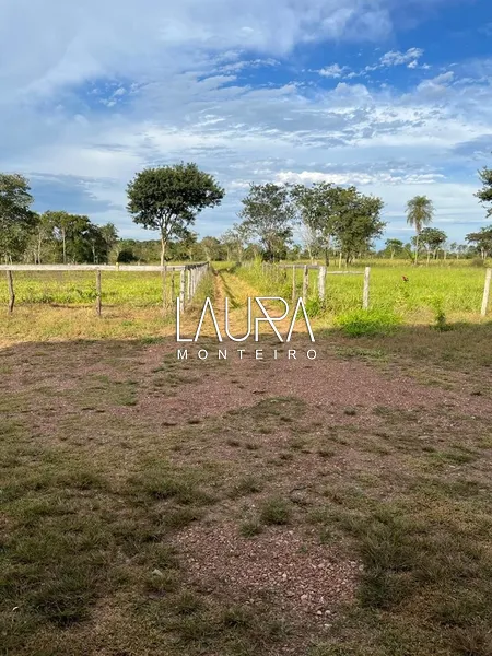 115 Hectares pronta para trabalhar: 2ª foto da galeria de imagens do imóvel