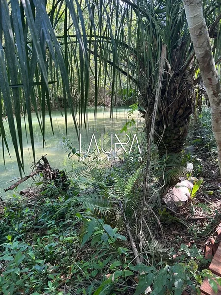 Chácara com Rio Formosinho, apenas 6 km de distância da cidade: 5ª foto da galeria de imagens do imóvel