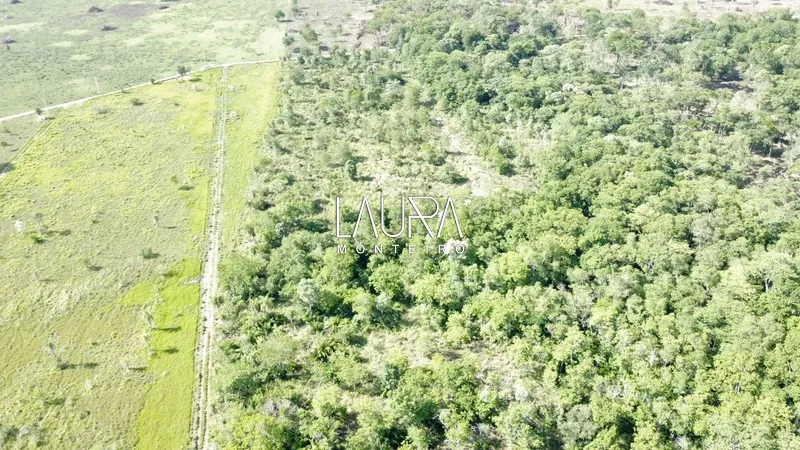 Chácara com Rio Formosinho, apenas 6 km de distância da cidade: 3ª foto da galeria de imagens do imóvel