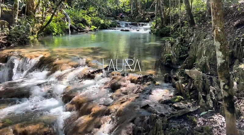 São 34 Hectares com 600 metros de margem de Rio Mimoso: 6ª foto da galeria de imagens do imóvel