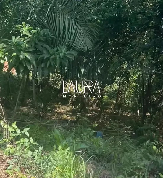 Terreno de fundo com a Mata no Tarumã Hípica Park: 3ª foto da galeria de imagens do imóvel