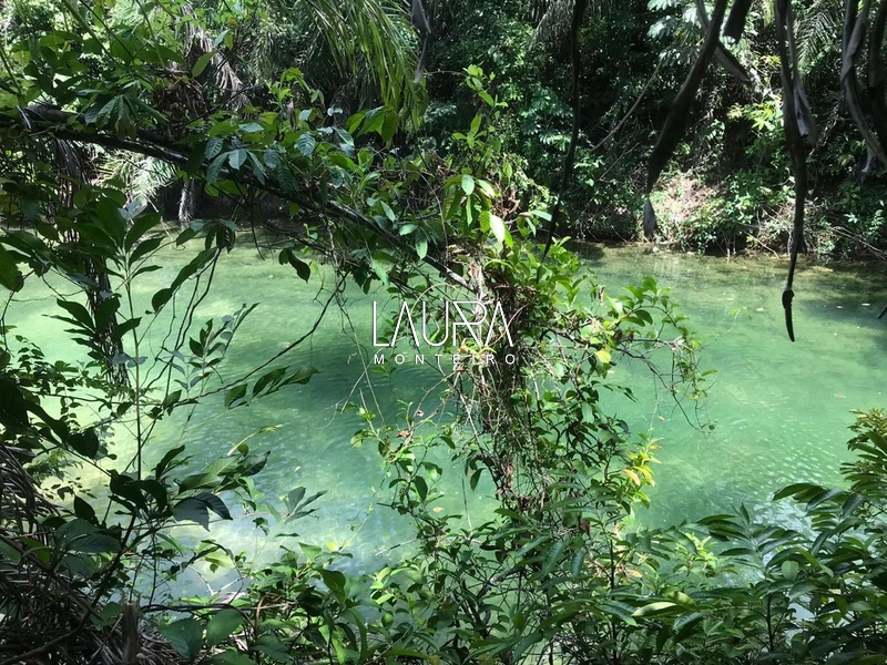 360 hectares apenas 7 km de Bonito MS: 8ª foto da galeria de imagens do imóvel