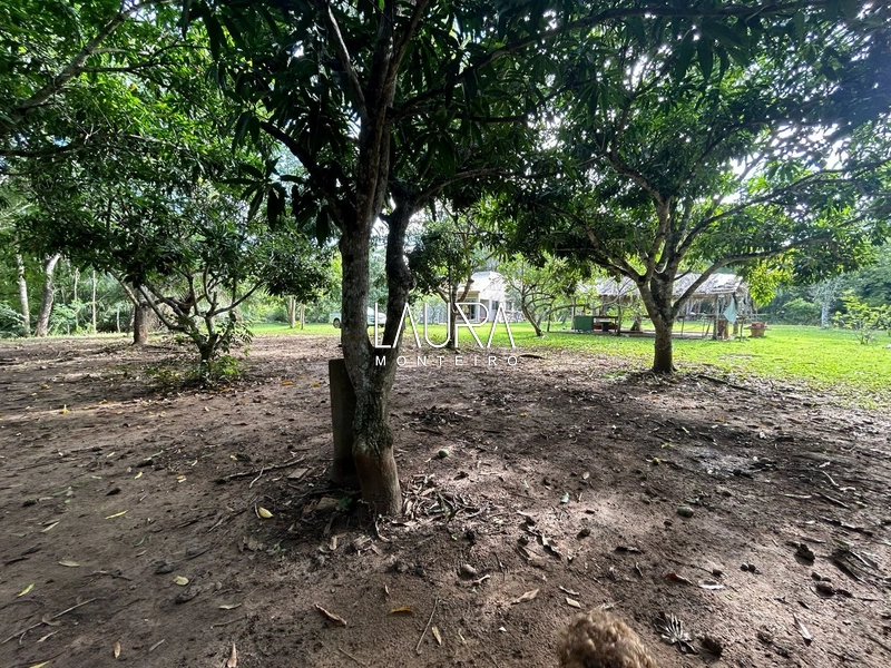 Chácara com casa nova apenas 10 km da cidade: 22ª foto da galeria de imagens do imóvel
