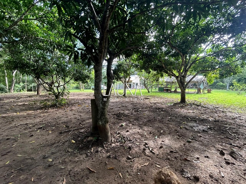 Chácara com casa nova apenas 10 km da cidade: 29ª foto da galeria de imagens do imóvel