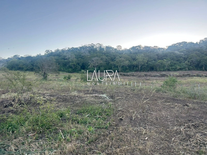 Fazenda Bodoquena Próximo ao Calcario: 18ª foto da galeria de imagens do imóvel