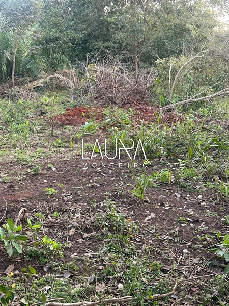 Fazenda Bodoquena Próximo ao Calcario: 13ª foto da galeria de imagens do imóvel