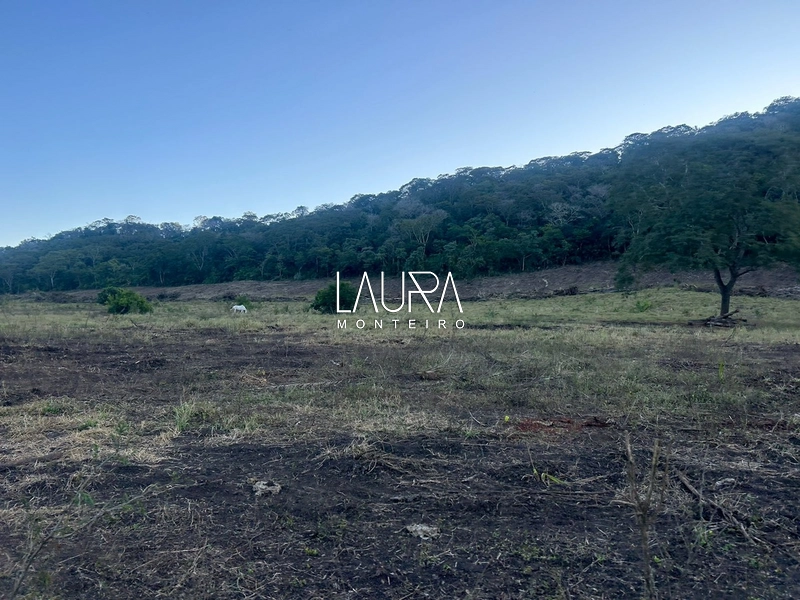 Fazenda Bodoquena Próximo ao Calcario: 17ª foto da galeria de imagens do imóvel