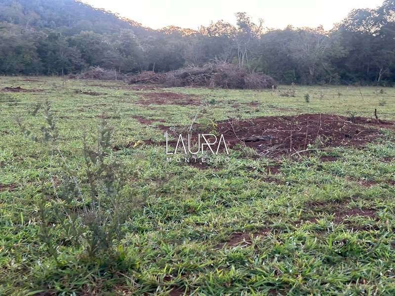 Fazenda Bodoquena Próximo ao Calcario: 11ª foto da galeria de imagens do imóvel