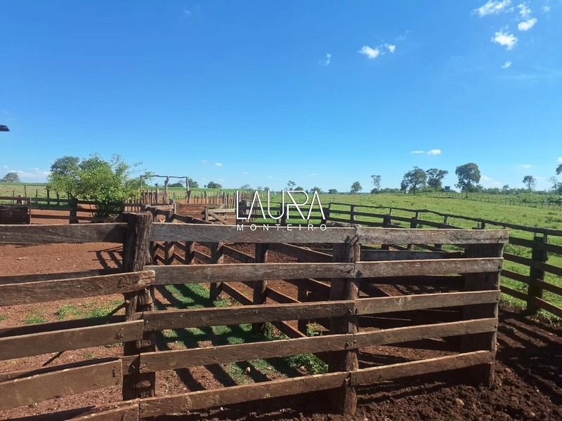 Fazenda 685 Hectares apenas 37 km de Bonito MS: 26ª foto da galeria de imagens do imóvel