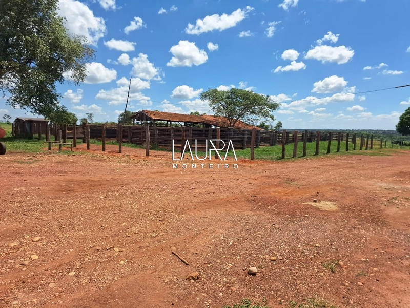 Fazenda 685 Hectares apenas 37 km de Bonito MS: 10ª foto da galeria de imagens do imóvel