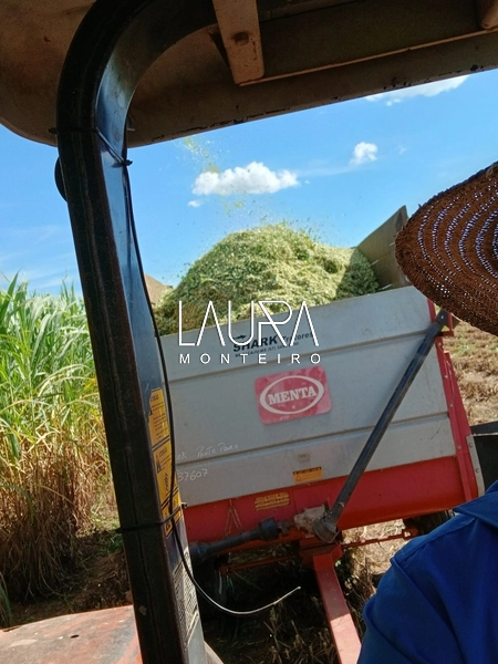 Fazenda 685 Hectares apenas 37 km de Bonito MS: 14ª foto da galeria de imagens do imóvel