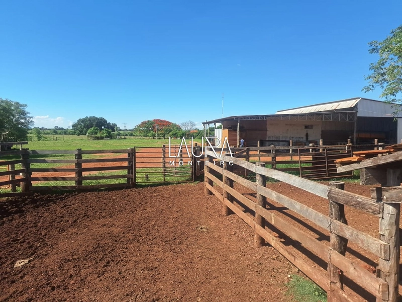 Fazenda 685 Hectares apenas 37 km de Bonito MS: 24ª foto da galeria de imagens do imóvel