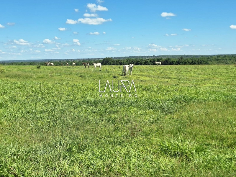 Fazenda 685 Hectares apenas 37 km de Bonito MS: 1ª foto da galeria de imagens do imóvel