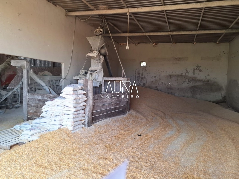 Fazenda 685 Hectares apenas 37 km de Bonito MS: 29ª foto da galeria de imagens do imóvel