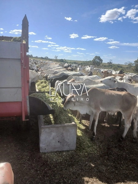 Fazenda 685 Hectares apenas 37 km de Bonito MS: 16ª foto da galeria de imagens do imóvel