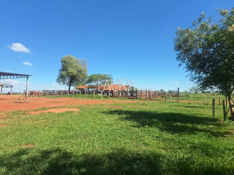 Fazenda 685 Hectares apenas 37 km de Bonito MS: 27ª foto da galeria de imagens do imóvel