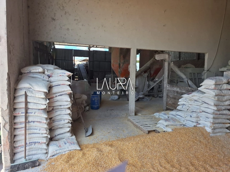 Fazenda 685 Hectares apenas 37 km de Bonito MS: 28ª foto da galeria de imagens do imóvel