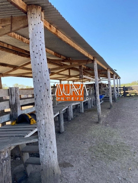 5.578 Hectares a 130 km de Bonito a 10 mil por Hectare: 5ª foto da galeria de imagens do imóvel