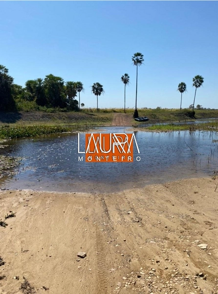 5.578 Hectares a 130 km de Bonito a 10 mil por Hectare: 1ª foto da galeria de imagens do imóvel