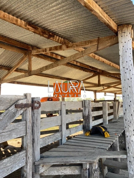 5.578 Hectares a 130 km de Bonito a 10 mil por Hectare: 6ª foto da galeria de imagens do imóvel