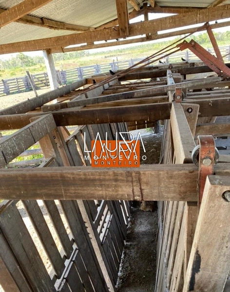 5.578 Hectares a 130 km de Bonito a 10 mil por Hectare: 4ª foto da galeria de imagens do imóvel