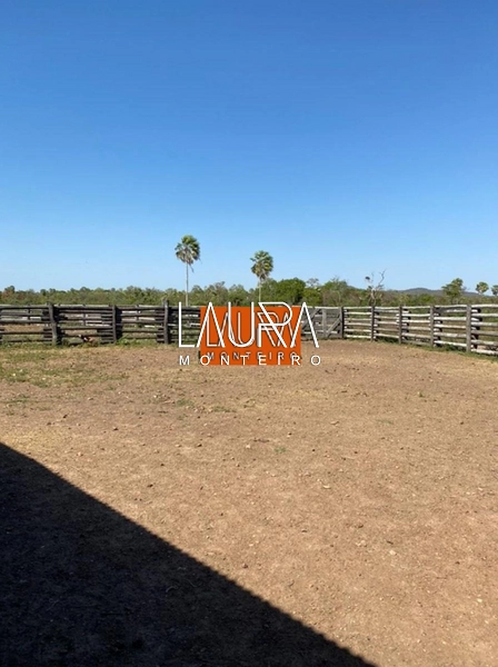 5.578 Hectares a 130 km de Bonito a 10 mil por Hectare: 3ª foto da galeria de imagens do imóvel