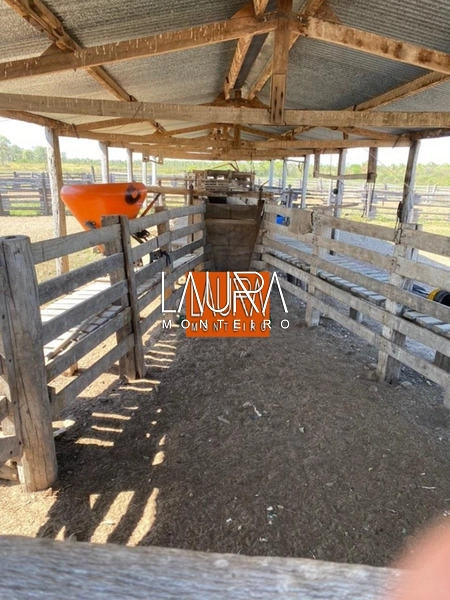 5.578 Hectares a 130 km de Bonito a 10 mil por Hectare: 2ª foto da galeria de imagens do imóvel