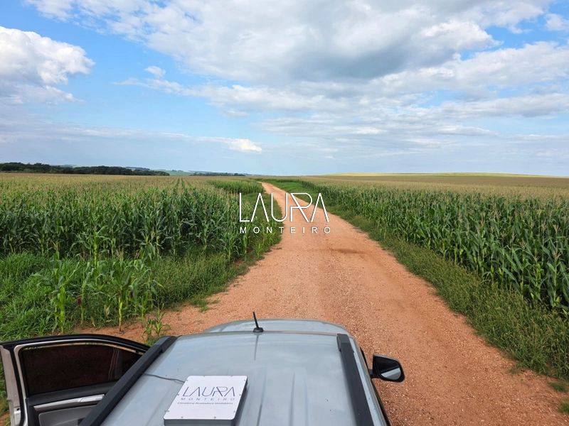 1.200 hectares de lavoura Comarca de Ponta Porã: 2ª foto da galeria de imagens do imóvel
