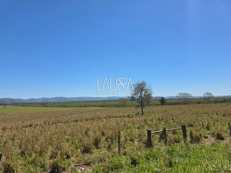 680 hectares excepcional, tripla aptidão em Bodoquena MS: 26ª foto da galeria de imagens do imóvel
