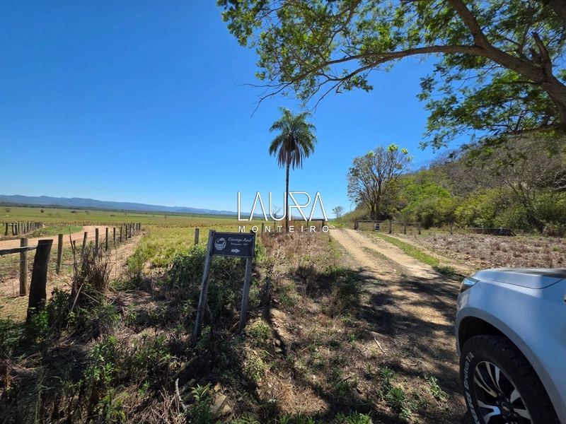 680 hectares excepcional, tripla aptidão em Bodoquena MS: 27ª foto da galeria de imagens do imóvel