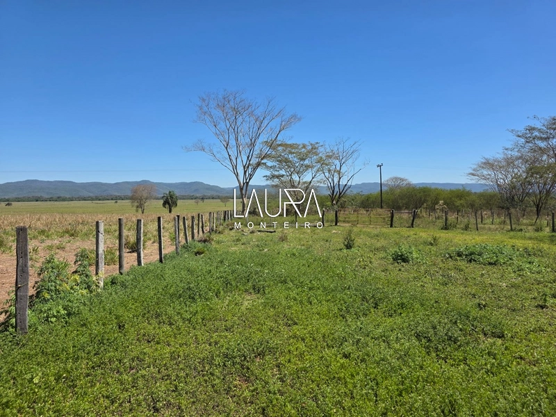 680 hectares excepcional, tripla aptidão em Bodoquena MS: 25ª foto da galeria de imagens do imóvel
