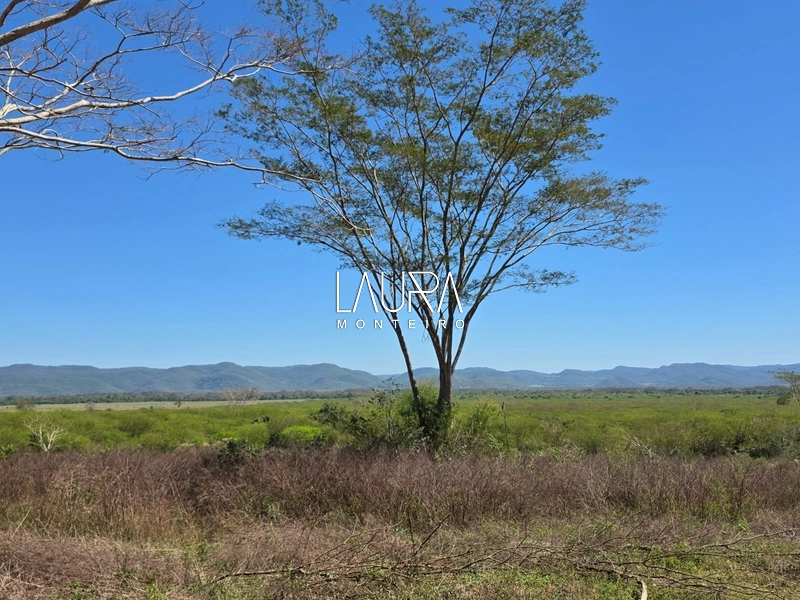 680 hectares excepcional, tripla aptidão em Bodoquena MS: 19ª foto da galeria de imagens do imóvel