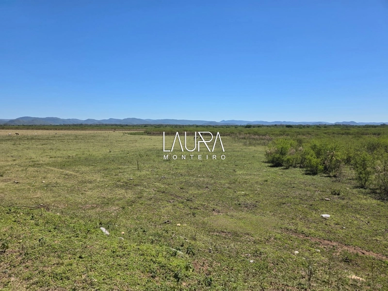 680 hectares excepcional, tripla aptidão em Bodoquena MS: 14ª foto da galeria de imagens do imóvel