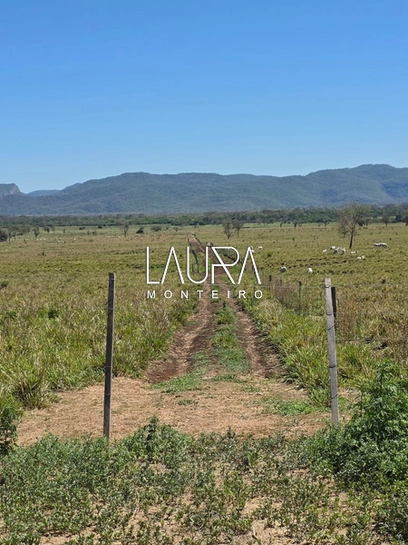680 hectares excepcional, tripla aptidão em Bodoquena MS: 2ª foto da galeria de imagens do imóvel