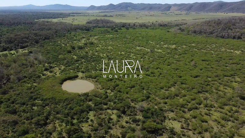 250 hectares de terra boa em Bodoquena MS: 10ª foto da galeria de imagens do imóvel