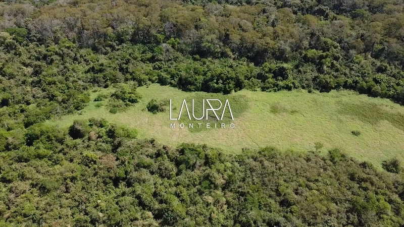 250 hectares de terra boa em Bodoquena MS: 8ª foto da galeria de imagens do imóvel